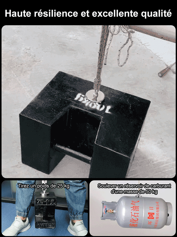 Aimant de récupération puissant