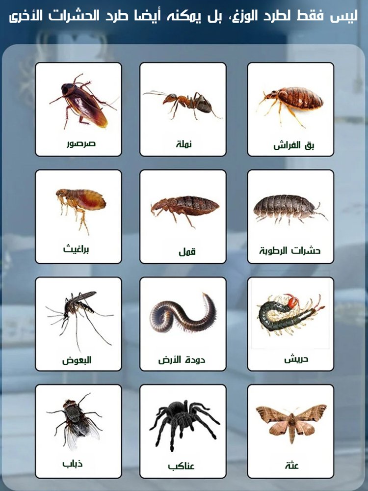 رذاذ سحري فعال لطرد الوزغ【الدفع عند الاستلام】