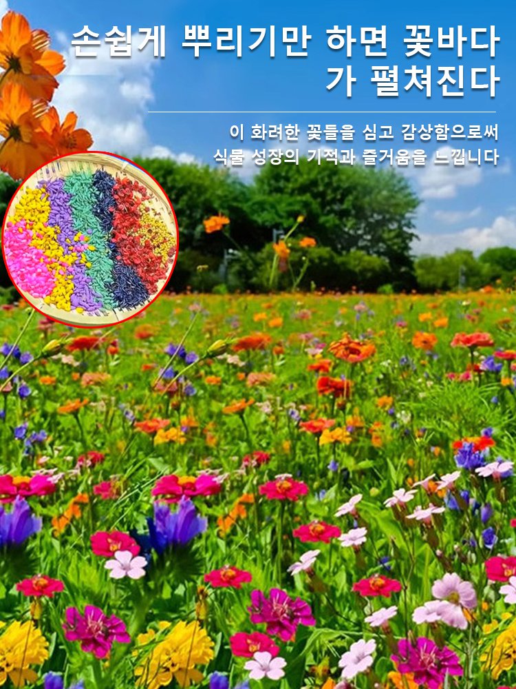 【사계절 개화】꽃밭 혼합 씨앗
