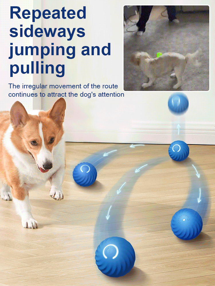 Cat and Dog Relief Gravity Jumping Ball
