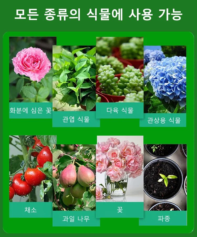 식물 재배 화초 삽목 루팅 파우더 