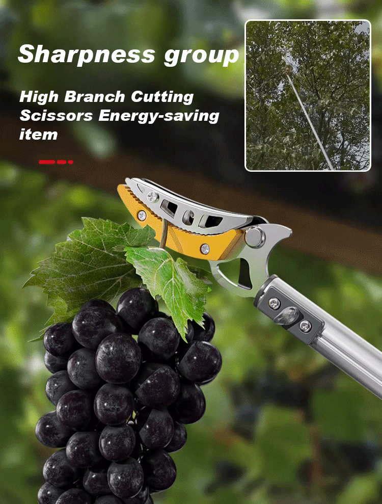 Multifunctional telescopic shears