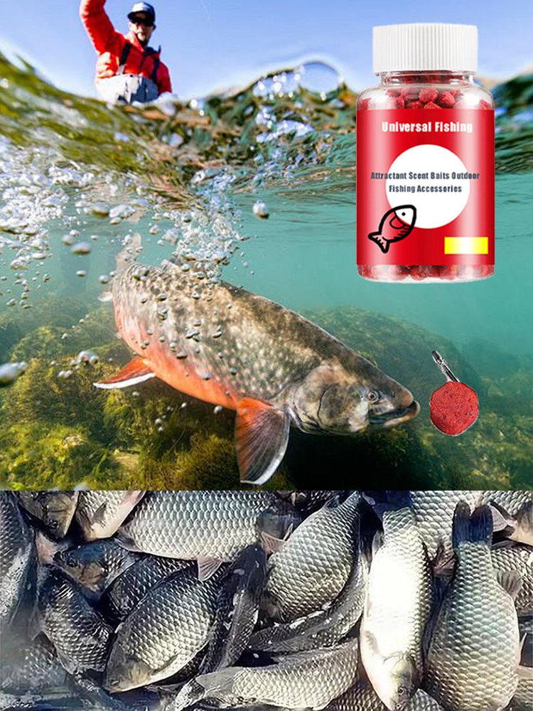 [Fische in Sekunden fangen] Angelköder mit verbessertem Geschmack