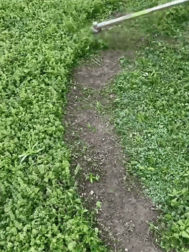 【Garantía de 10 años】Cortacésped de jardín ligero con batería de litio