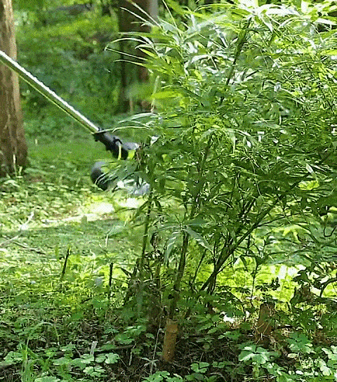 Tondeuse à gazon électrique 