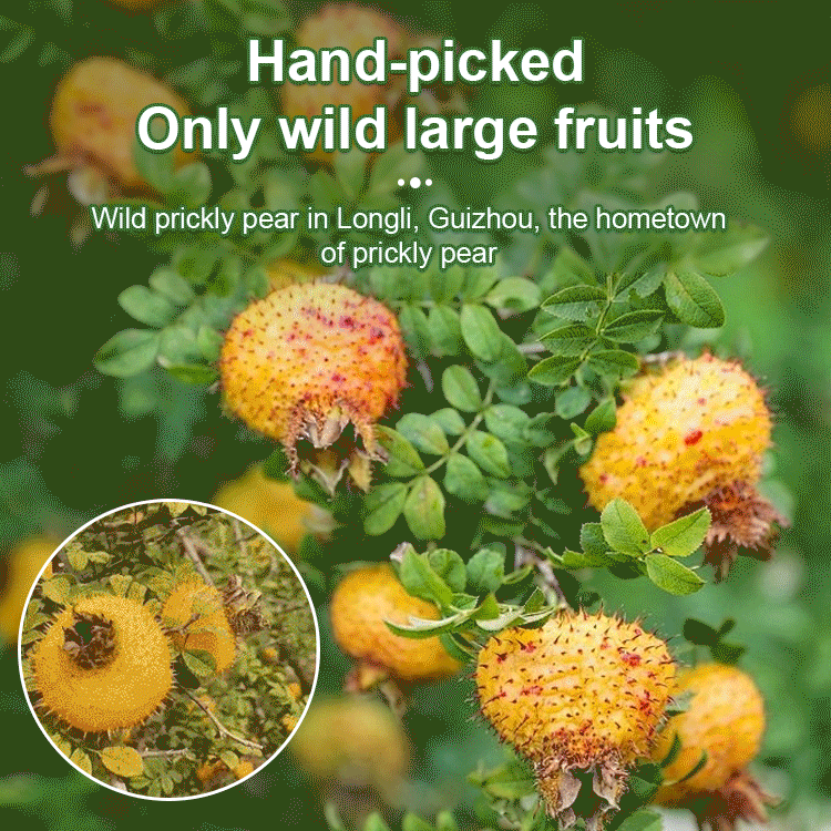 Dried Prickly Pear, the King of VCs