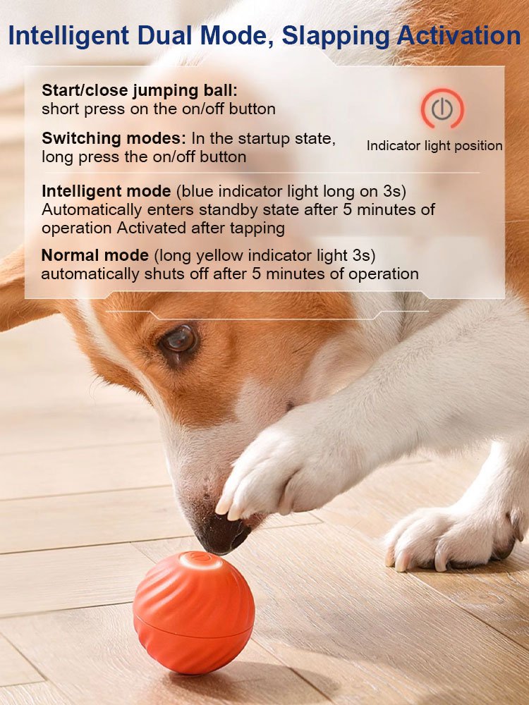 Cat and Dog Relief Gravity Jumping Ball