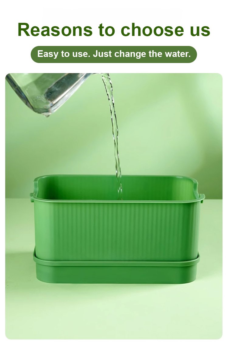 Household Sprouting Planter Pot with fresh green sprouts