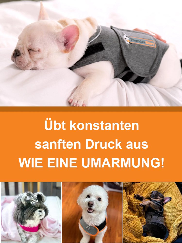 [Wirksame Linderung von Angst] Beruhigungsweste für Hunde