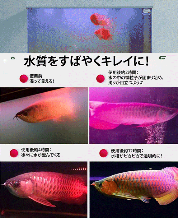 魚用濁り除去水槽浄水タブレット