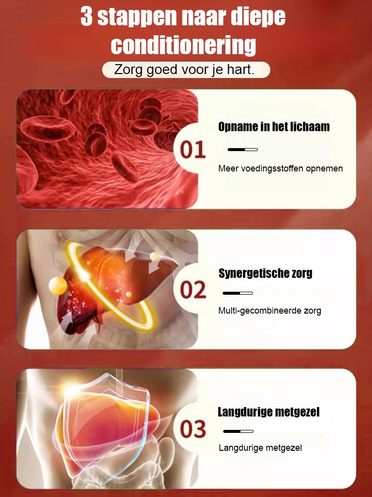 Mariadistel Ginseng Fo Shou Leverbescherming Pleister