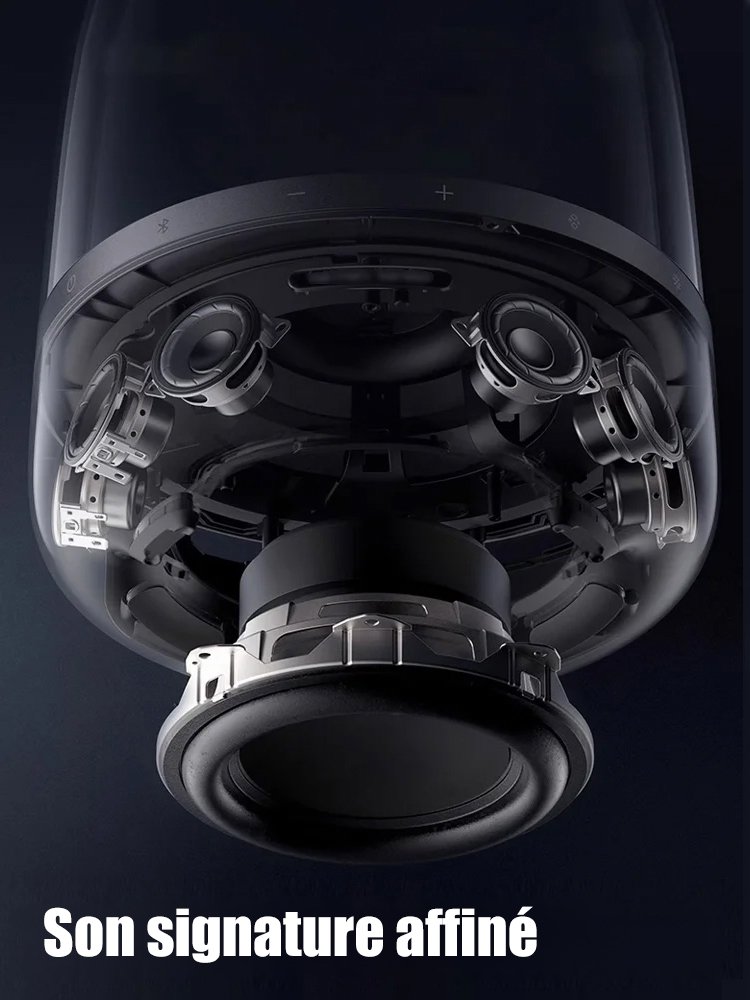 Enceinte Cristal Noir et Or