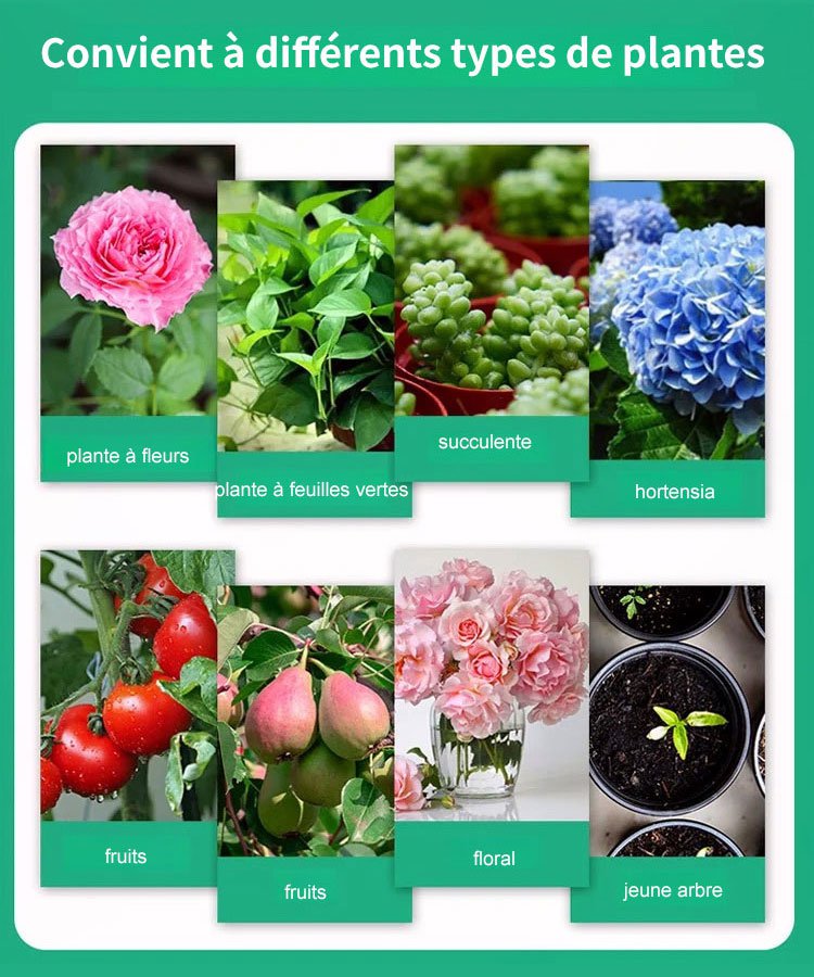 Vitaline de croissance des plantes