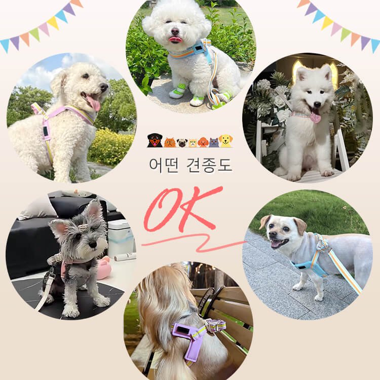 giipet-반려견 Y자형 하네스 세트