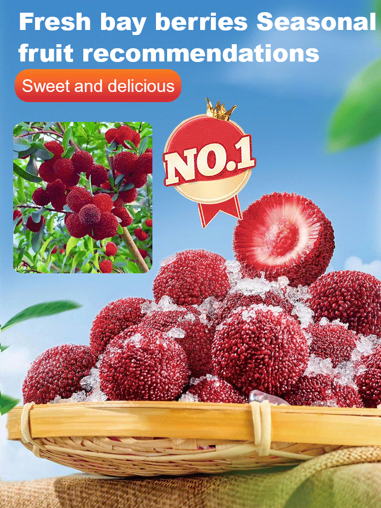 Home garden planting Dongkui prune 