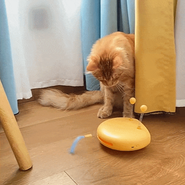 電動猫用おもちゃ