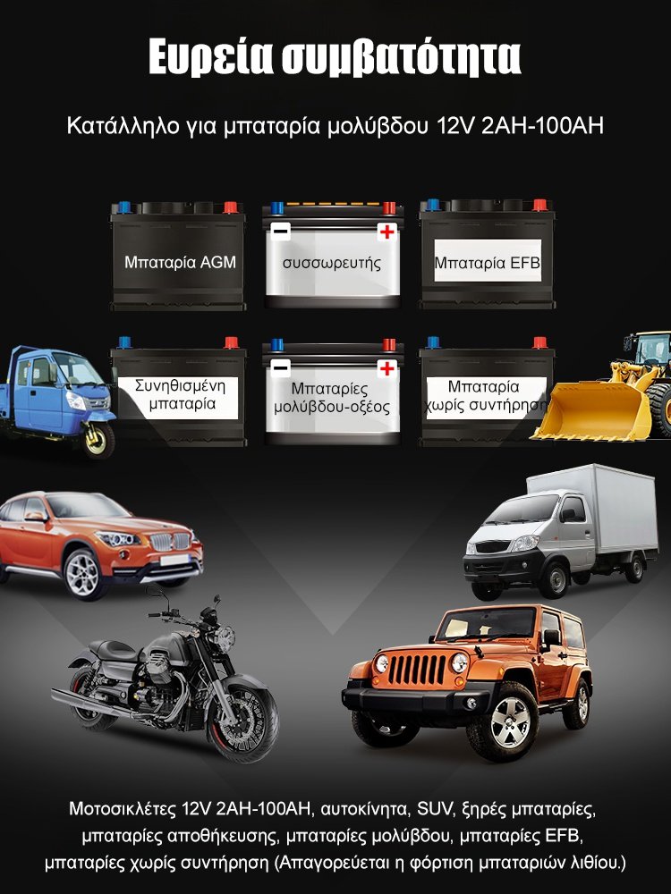 FAST αυτοκινητική μπαταρία φορτιστής