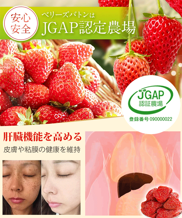 【甘酸っぱいドライストロベリー】限定1点1,495円