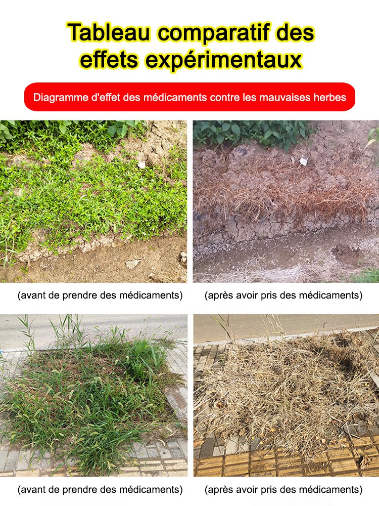 Herbicide pour racines mortes et racines pourries