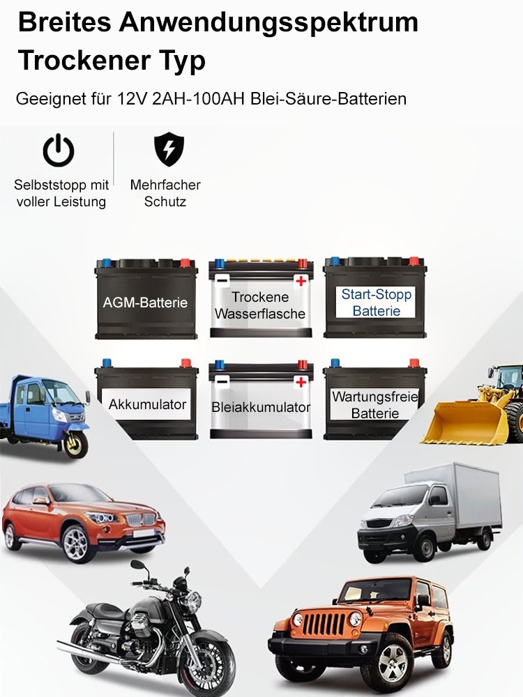 FAST Autobatterie-Ladegerät