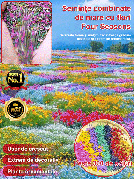 【Flori de patru anotimpuri】Amestec de semințe pentru un câmp de flori