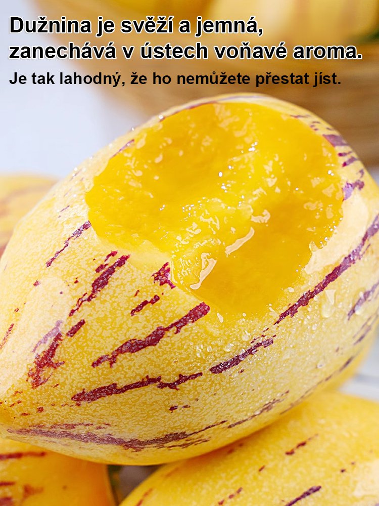 JS-Hypoglykemické a antihypertenzní mléko žluté maso hrnkové ženšen ovoce (doprava zdarma)