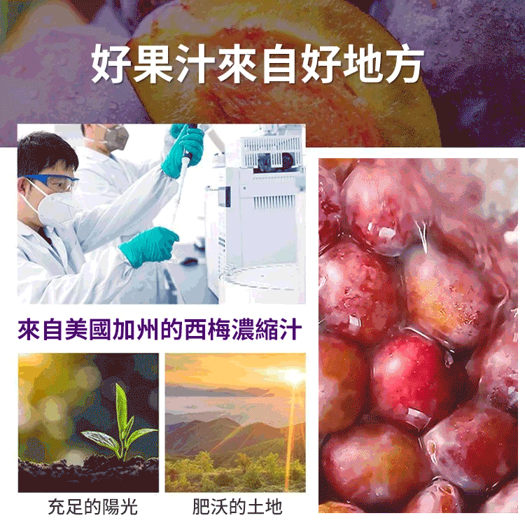 【3天小蠻腰】爆款加州西梅西柚汁