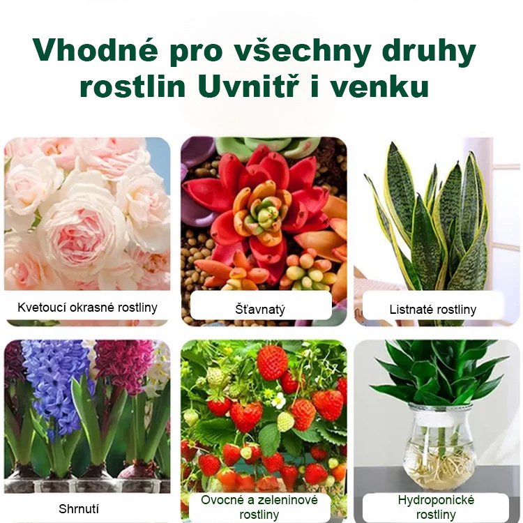 【Německá zahradnická technologie】Rychlý růst kapaliny pro vzkříšení rostlin