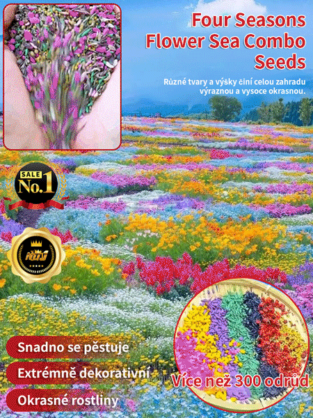 【Kvetení ve čtyřech ročních obdobích】Semena květinové mořské kombinace