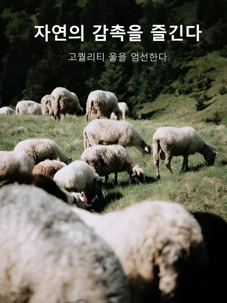 가을 겨울 신상품 니트 원피스