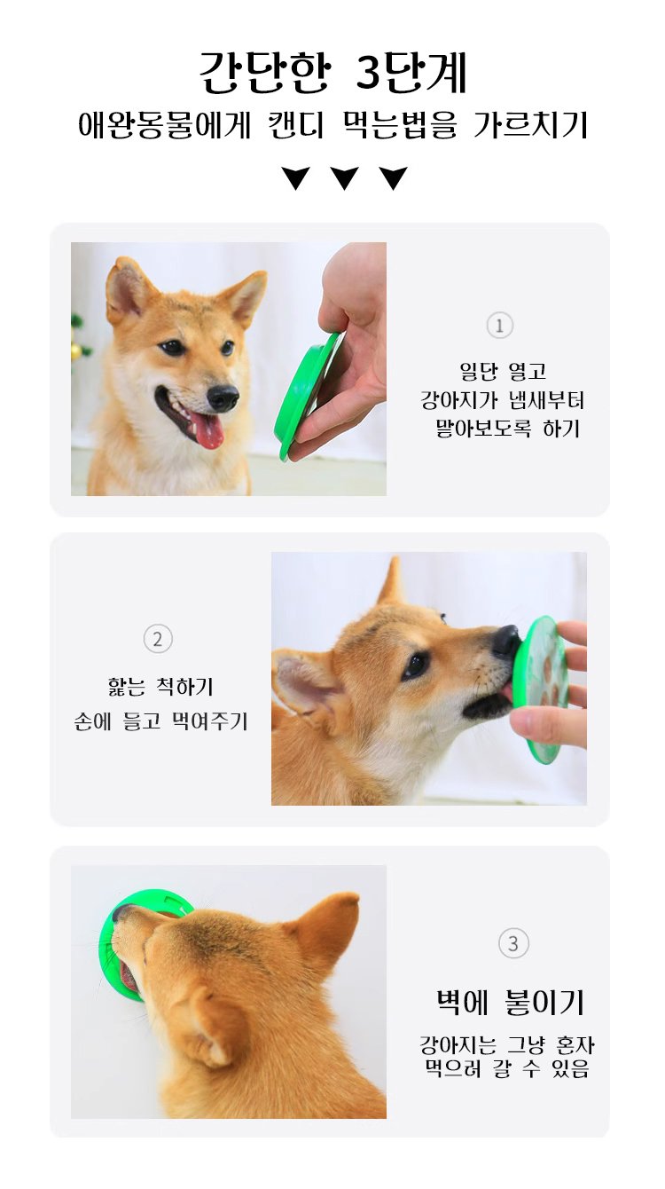 강아지 캔디 영양밤 휴대 간편성 강조