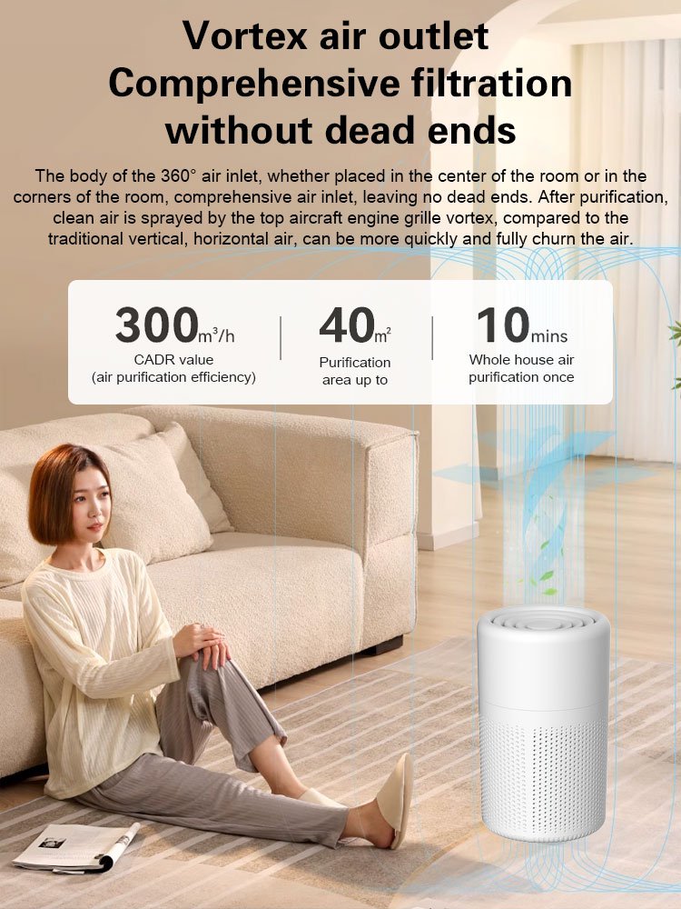 Negative ion deodorizing and formaldehyde removing air purifier