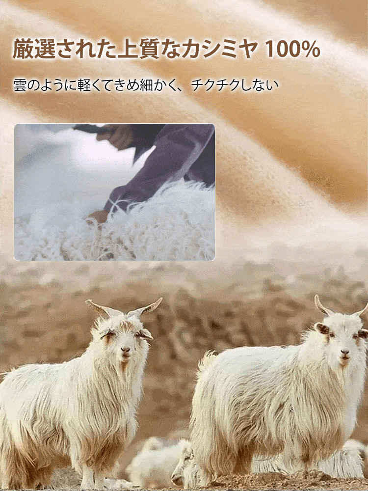 レース裾のVネックニットトップス