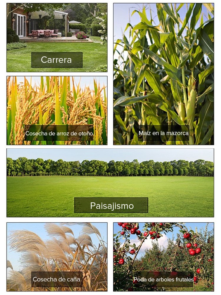 【Garantía de 10 años】Cortacésped de jardín ligero con batería de litio