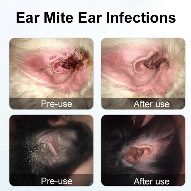 Anti-microbial Ear Cleanser for Pets