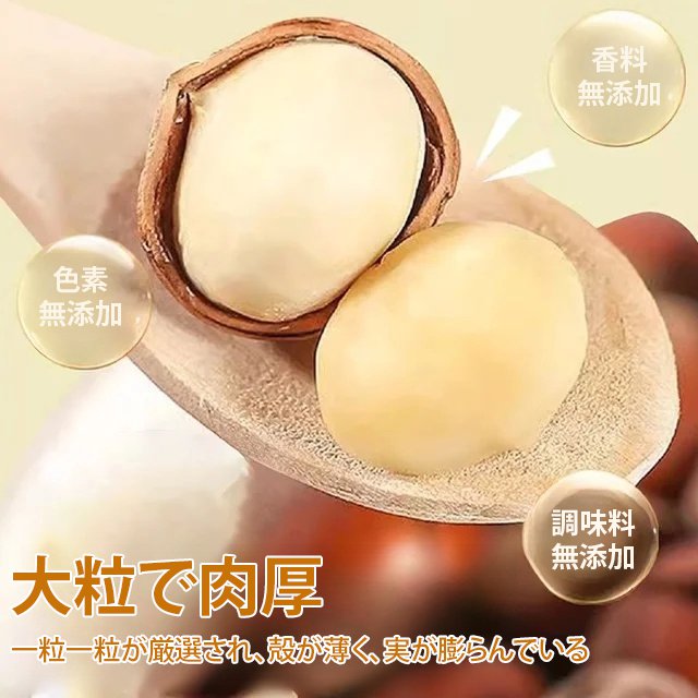 殻付きヘーゼルナッツ