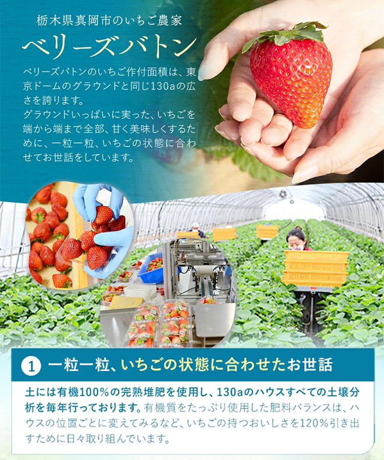 【甘酸っぱいドライストロベリー】限定1点1,495円