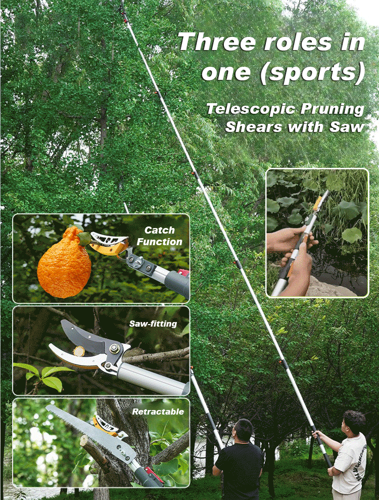 Multifunctional telescopic shears