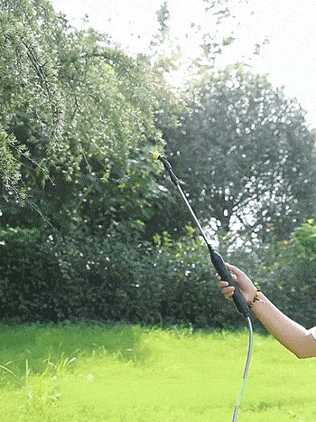 Portable Telescopic Electric Spray Gun