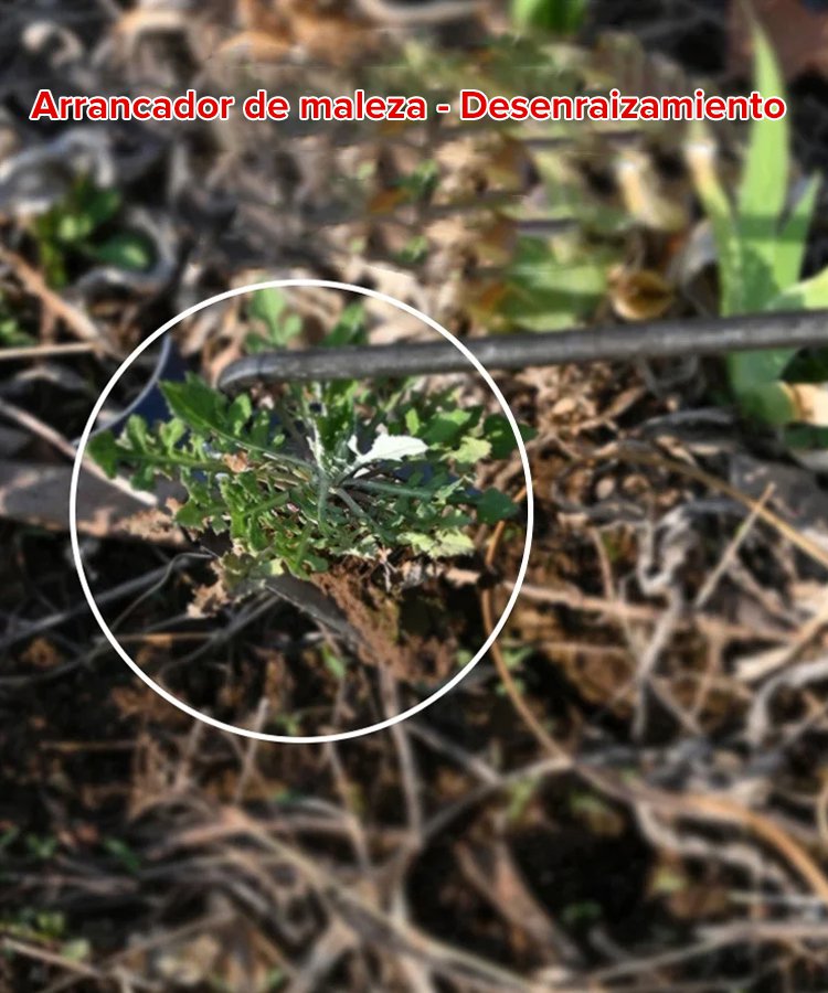 Herramienta Multifuncional para Arrancar Hierba y Airear el Suelo