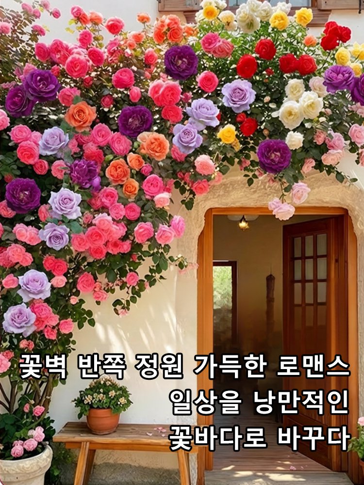 [씨앗 하나가 꽃바다를 이룬다] 사계절 덩굴장미 씨앗