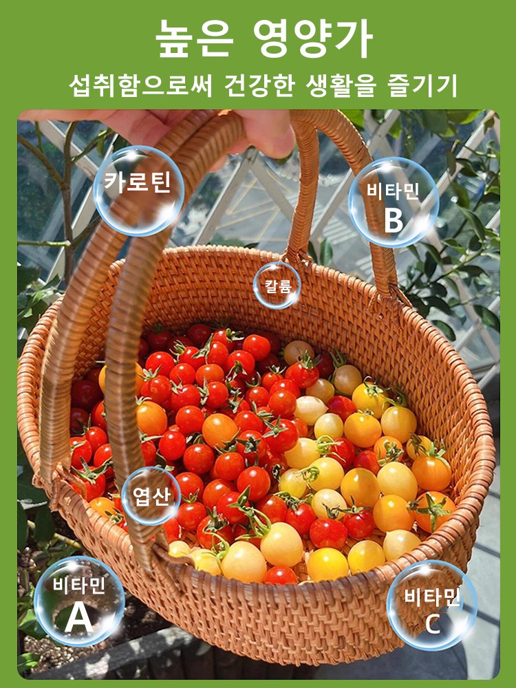 분재 왜성 방울토마토 씨앗