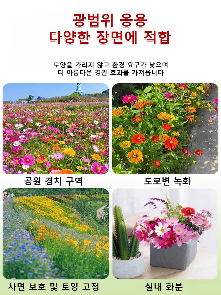【사계절 개화】꽃밭 혼합 씨앗