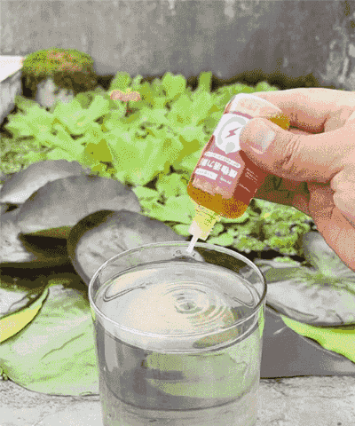 Energetyzator wzrostu roślin [skoncentrowana woda wróżki]