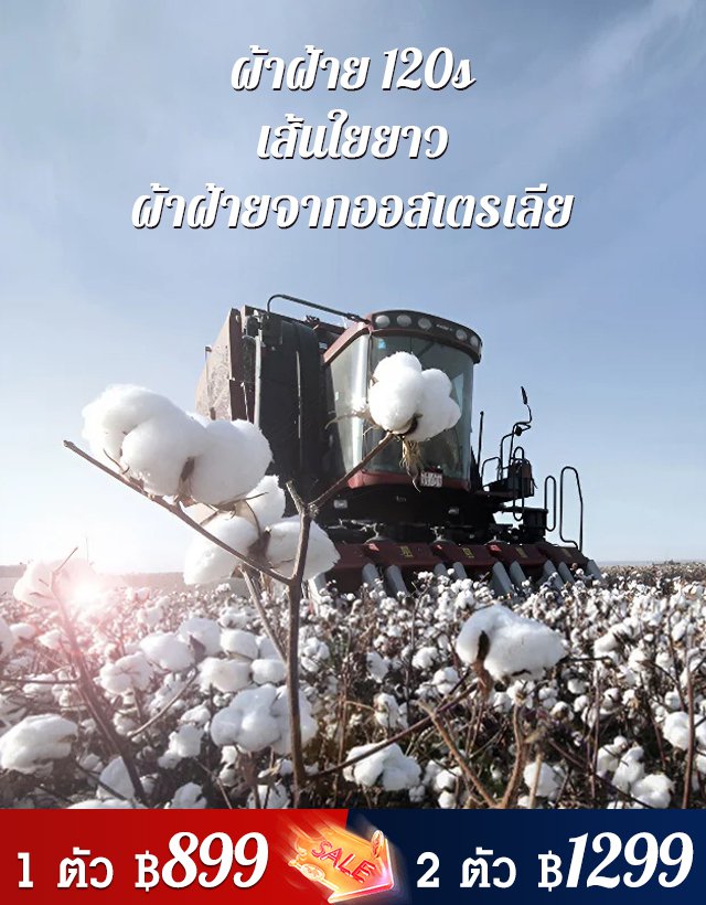 เสื้อเชิ้ตลำลองพิมพ์ลาย 3D รุ่นบาง ดูเป็นผู้ใหญ่