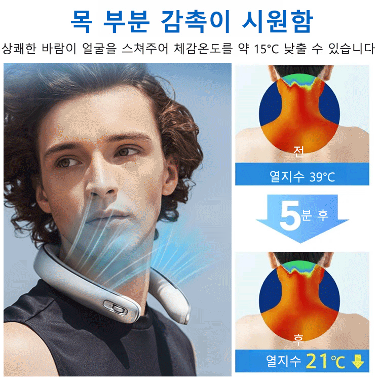 전문가급 파시아 건