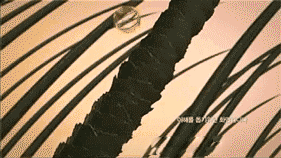 1539243310417484.gif