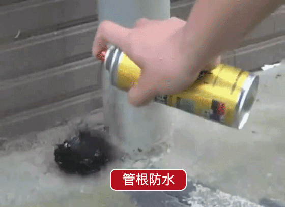10.gif