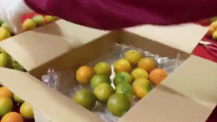 d1a63e8495d041e0b4cdb6964b40dd76.gif