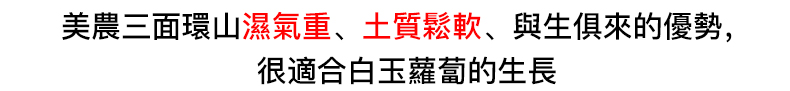 xiangq_06.jpg